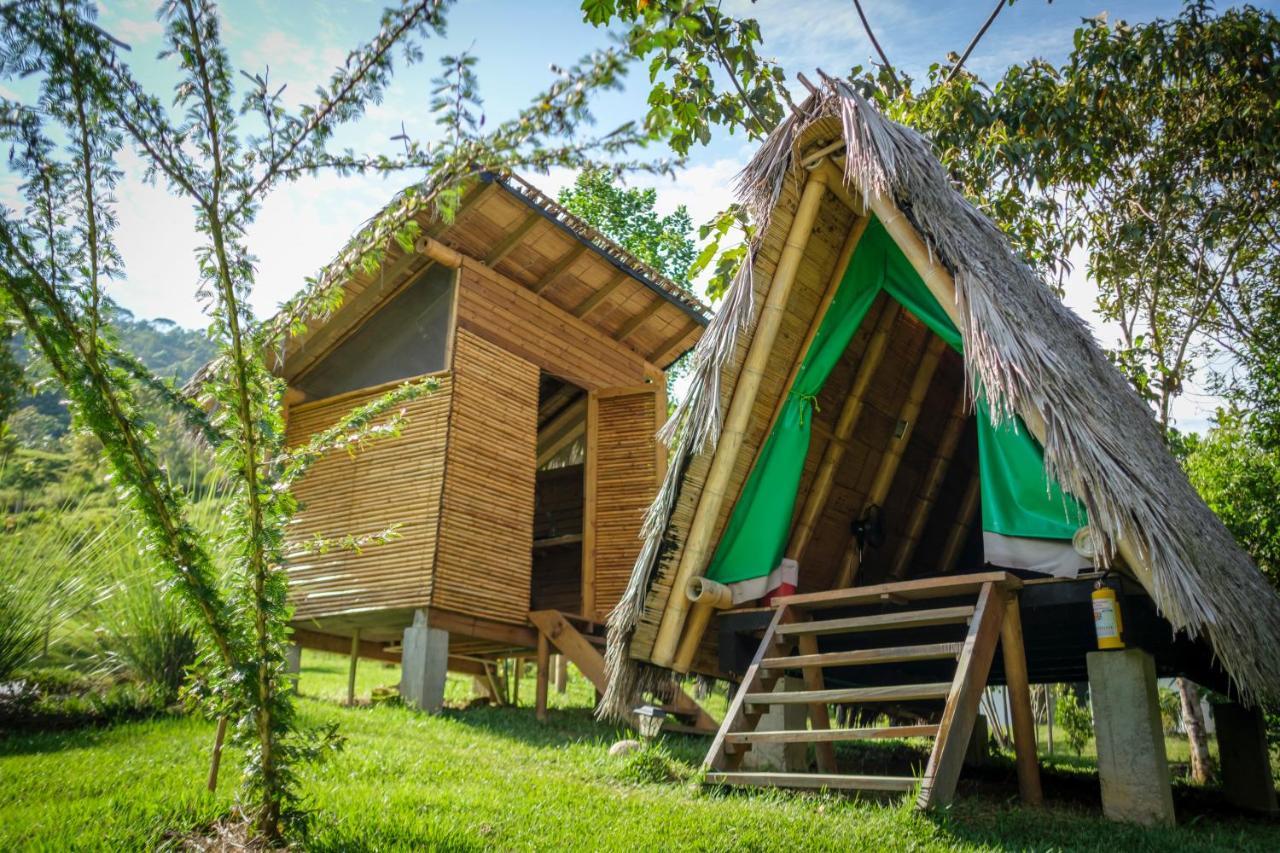 La Perla Negra - Black Pearl Eco Hostel San Rafael  Exterior foto