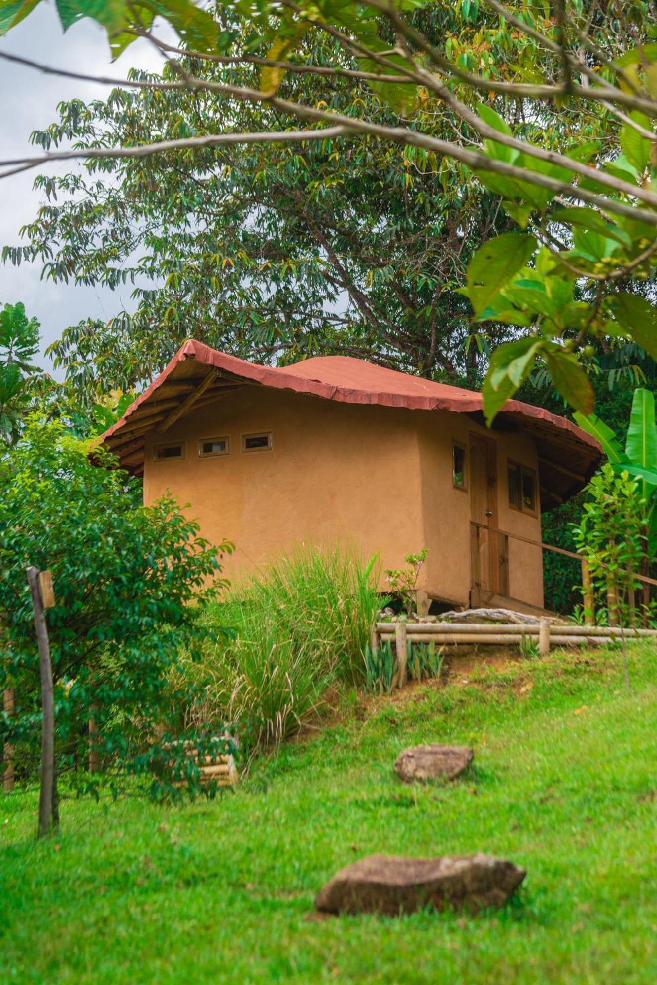 La Perla Negra - Black Pearl Eco Hostel San Rafael  Exterior foto
